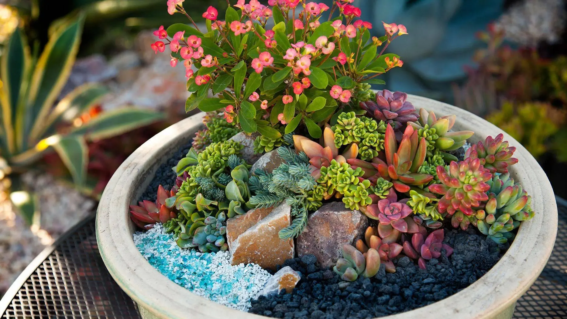 14 Patio Flower Pot Ideas for Full Sun Summer Gardens